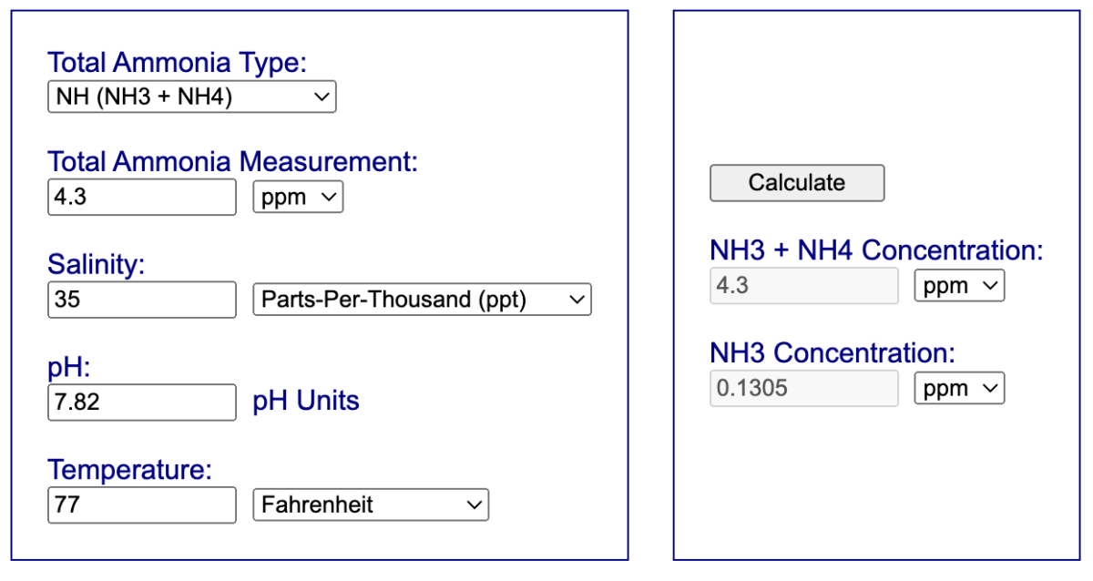 Screen Shot 2024-03-04 at 6.41.16 AM.png