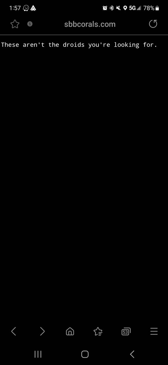 Screenshot_20240106_135718_Samsung Internet.jpg