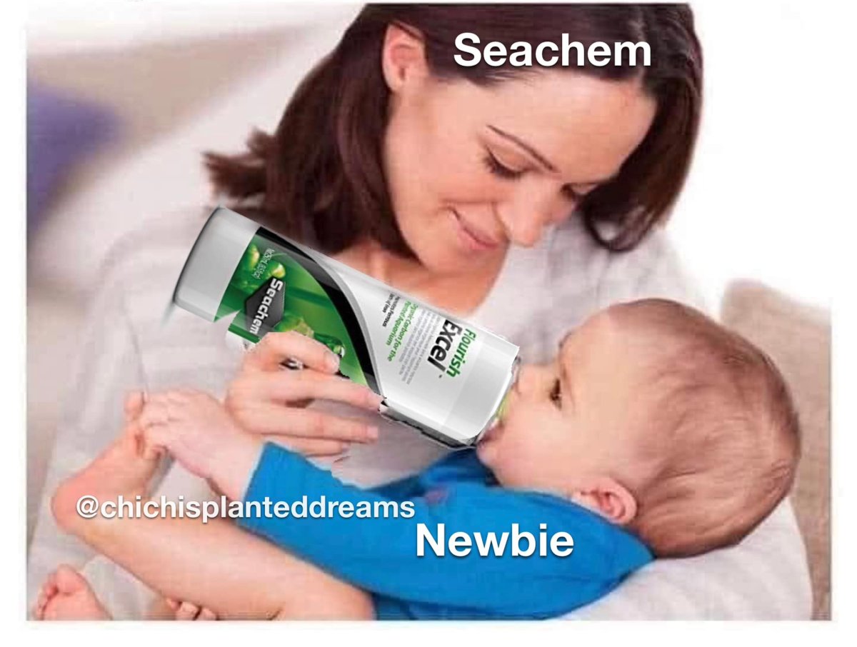 seachembaby.jpg