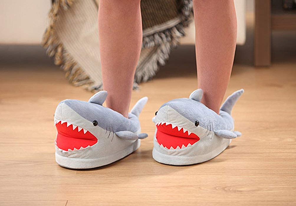 SharkSlippers.jpg