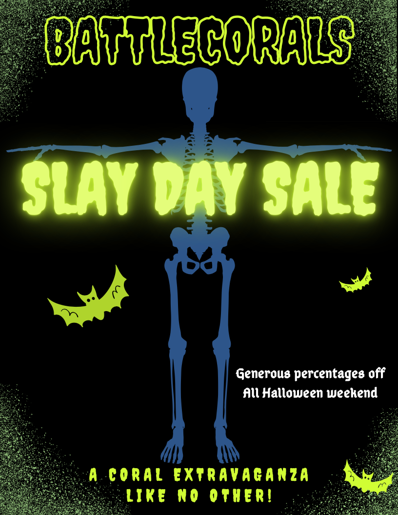 Slaydaysale.png