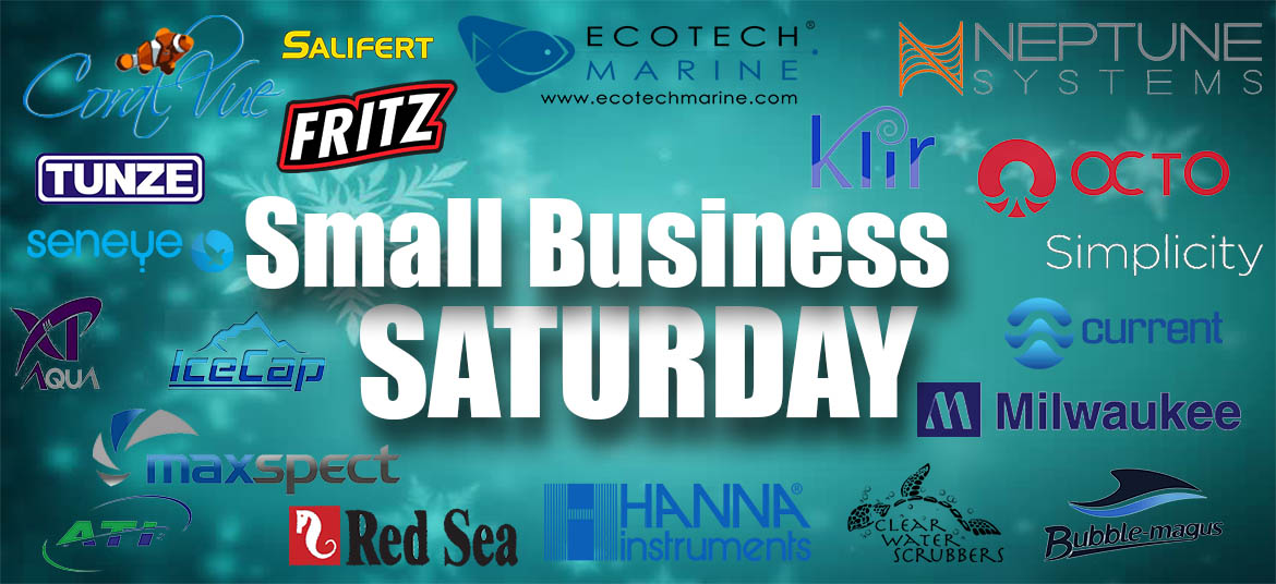 SMALL BUSINESS SATURDAY Brands 1170x536.jpg