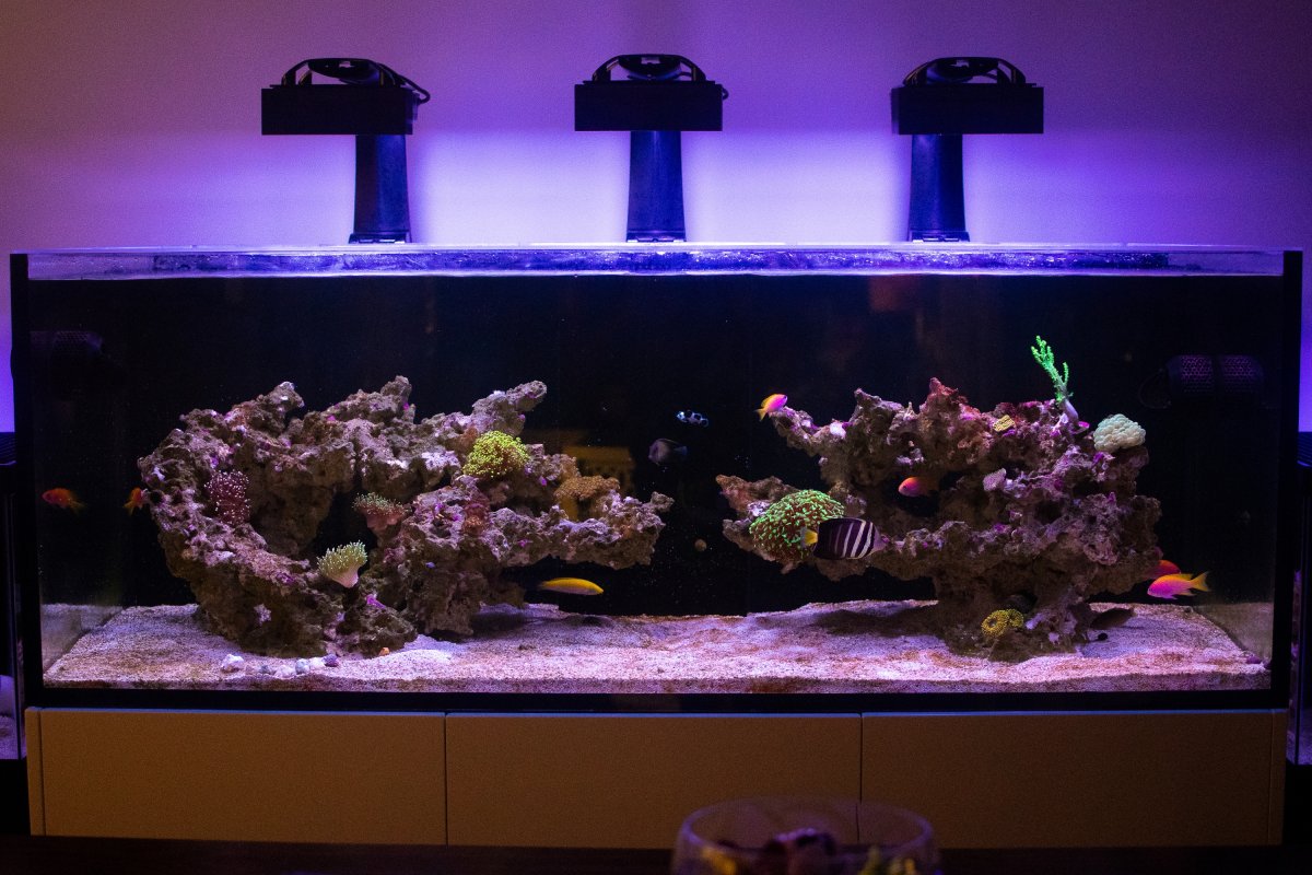 smaller fts.jpg