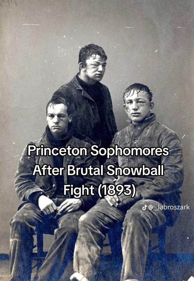 snowball-fight-1893-v0-x62a3af08uub1.jpg