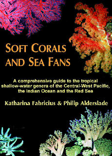 soft-corals-sea-fans.jpg