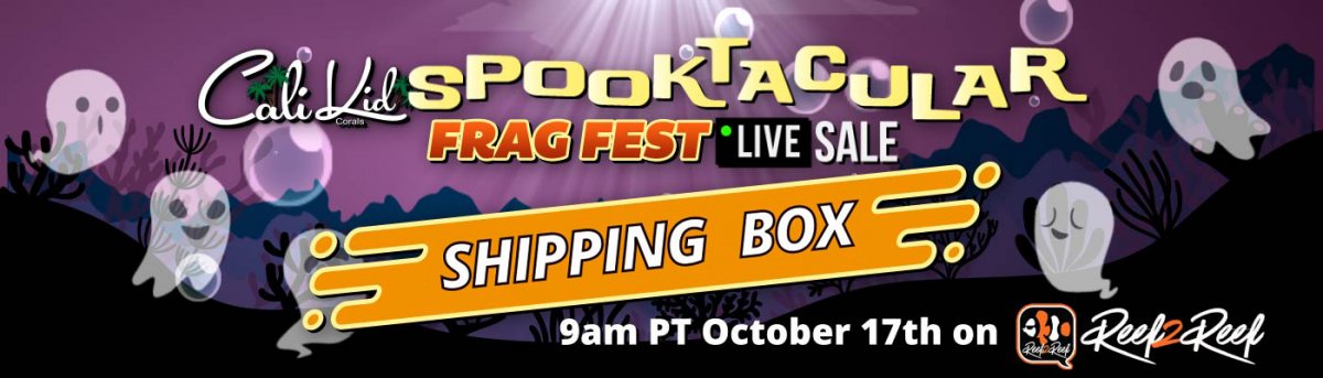 Spooktacular Still Shipping Box.jpg