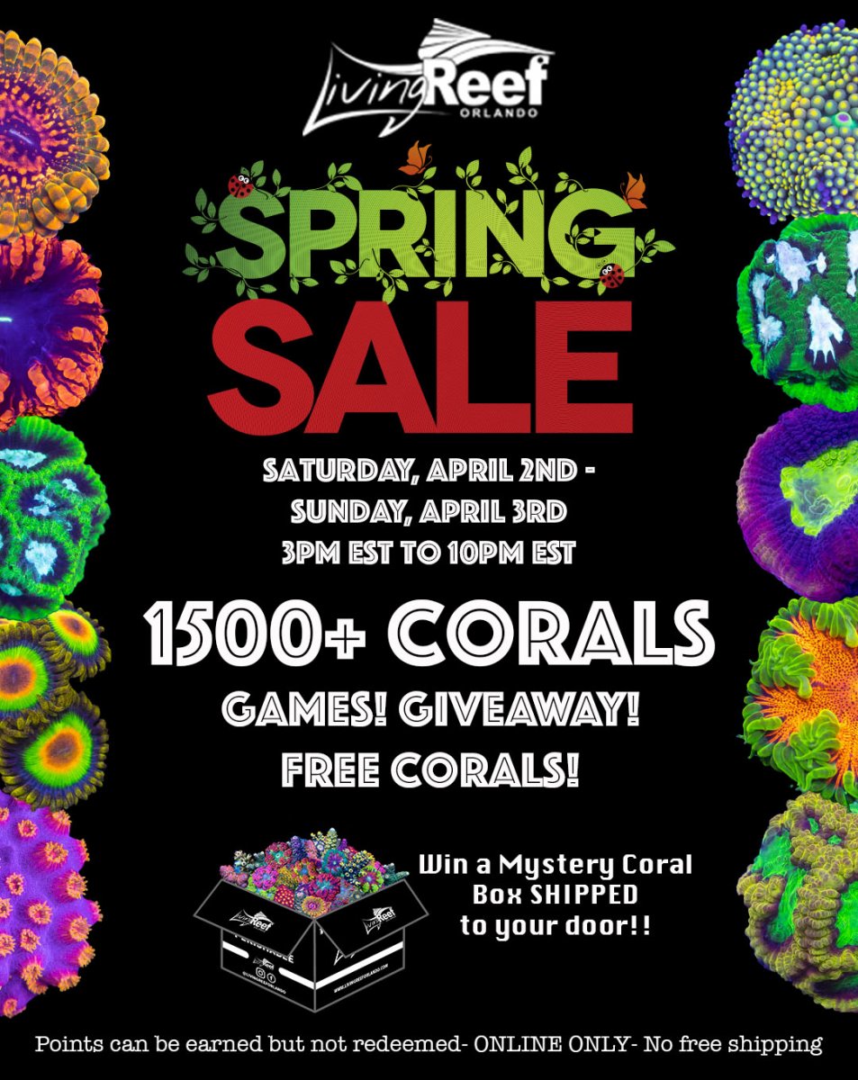 spring sale social media copy.jpg