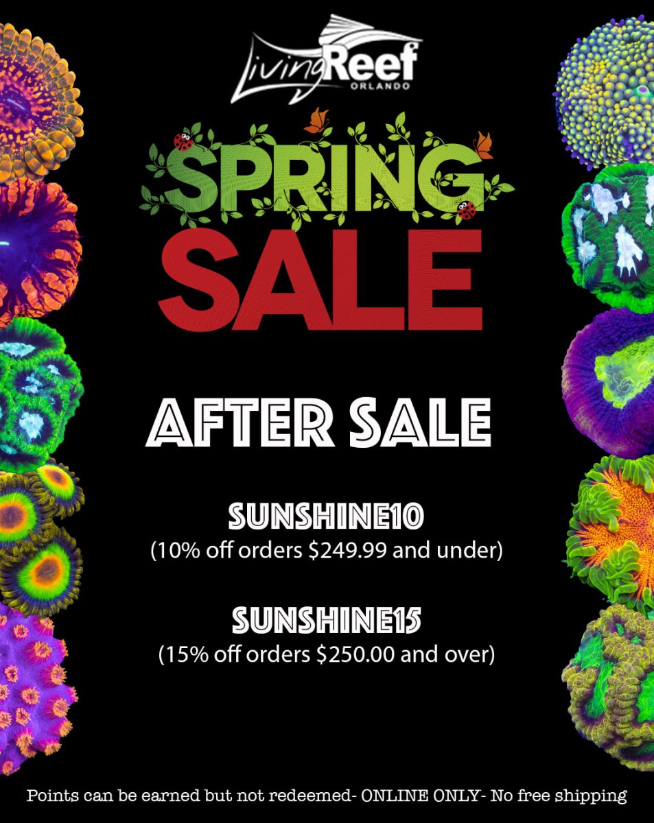 spring sale social media copy.jpg