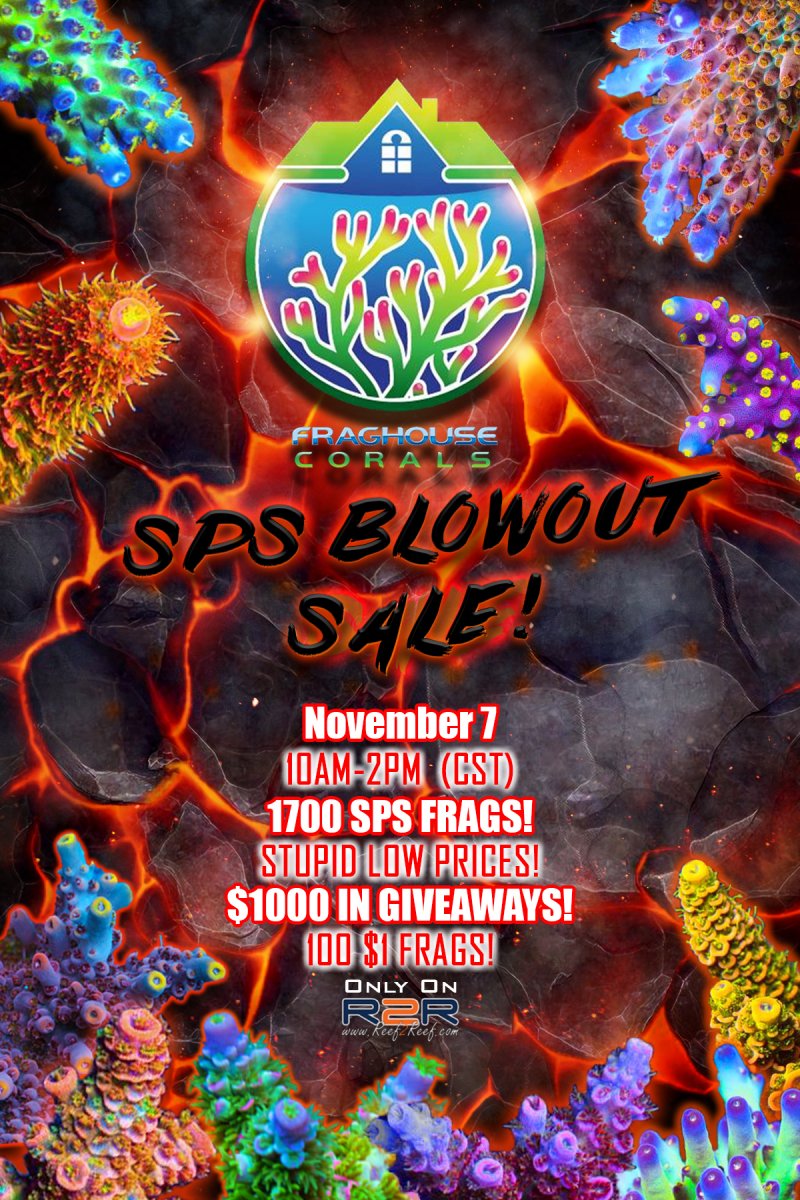 SPS BLOWOUT SALE.jpg