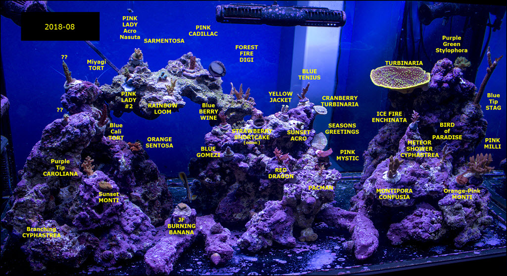 SPS-Tank-Timeline-2018-08.jpg