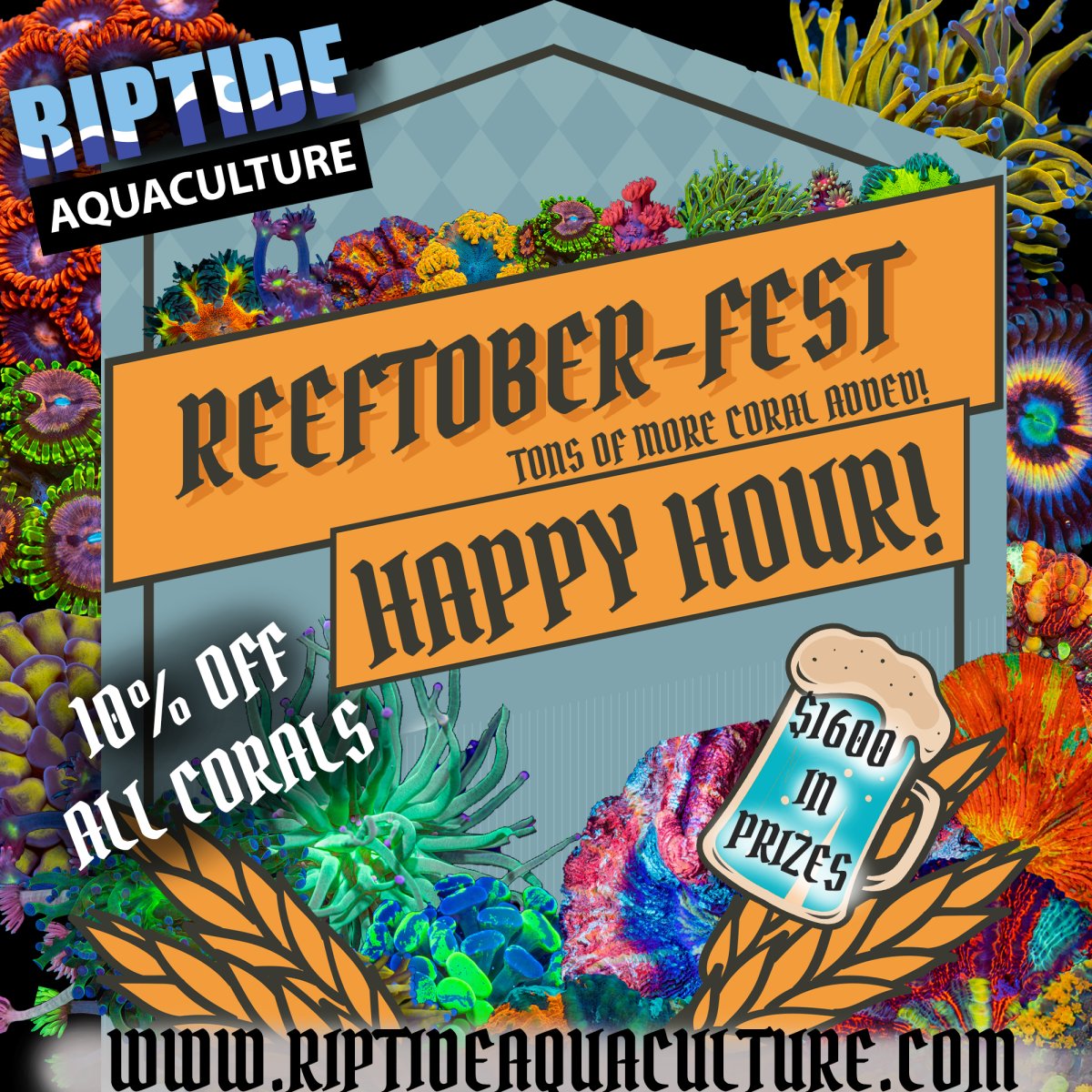 Square Reeftobwerfest HAPPY HOUR copy.jpg