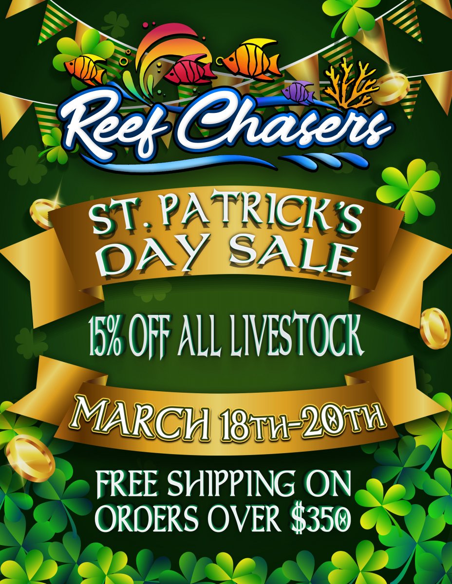 St. Patricks Reef Chasers.jpg