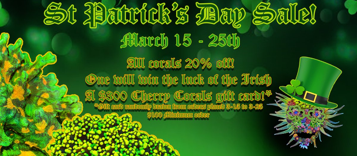 stpatricksdaysale.jpg