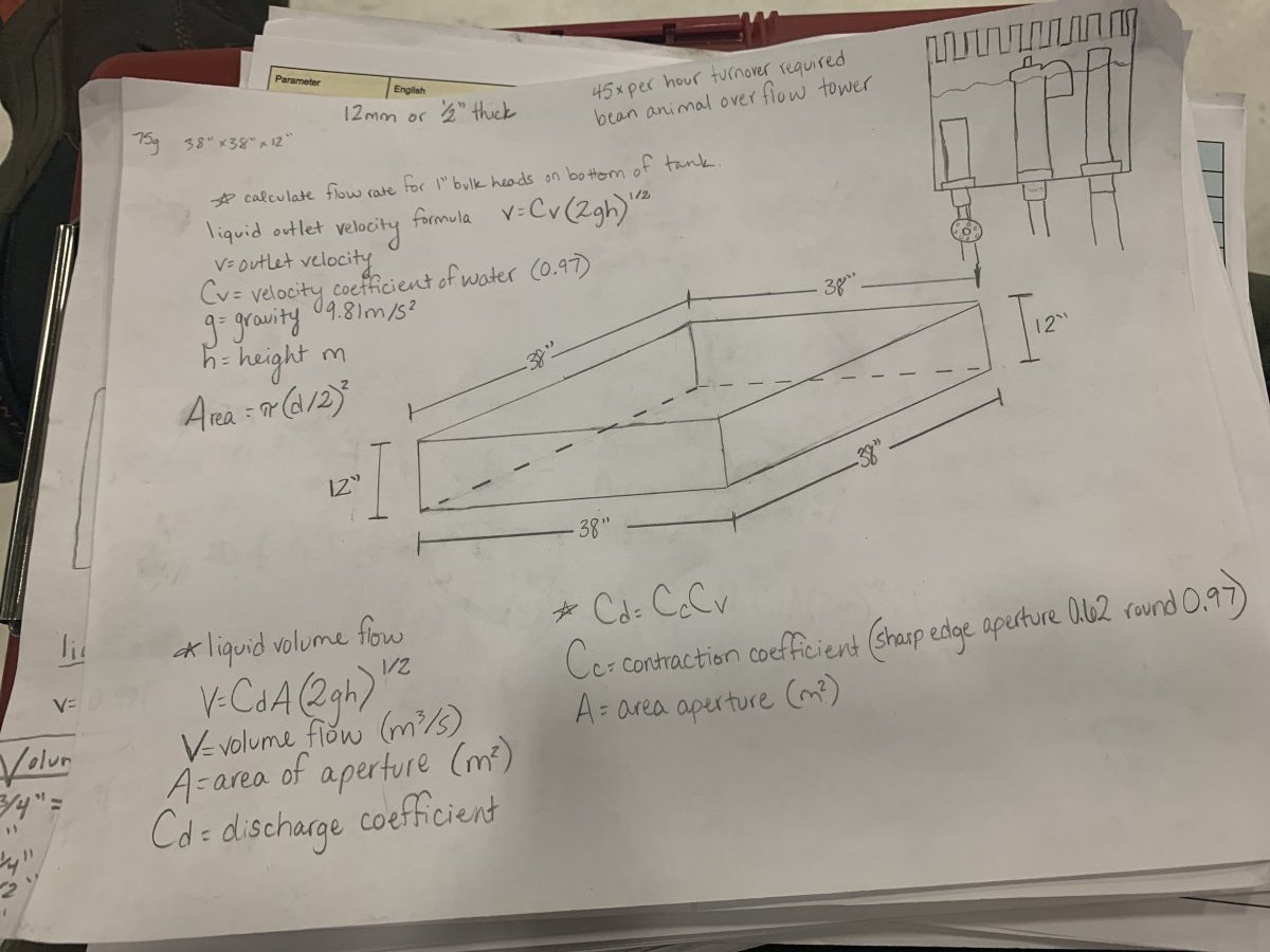 Strawberry_ReefMath.jpeg