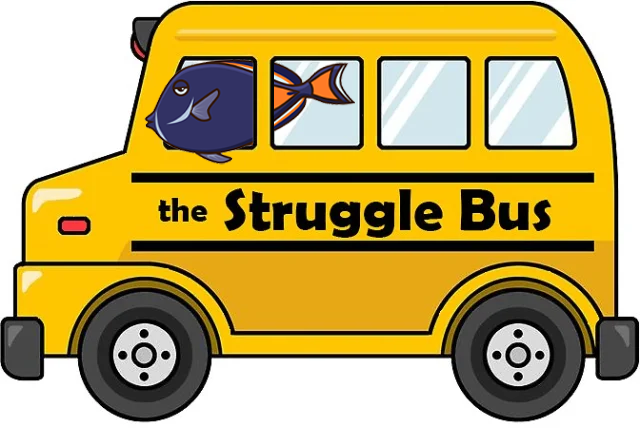 struggle bus tang fish.png