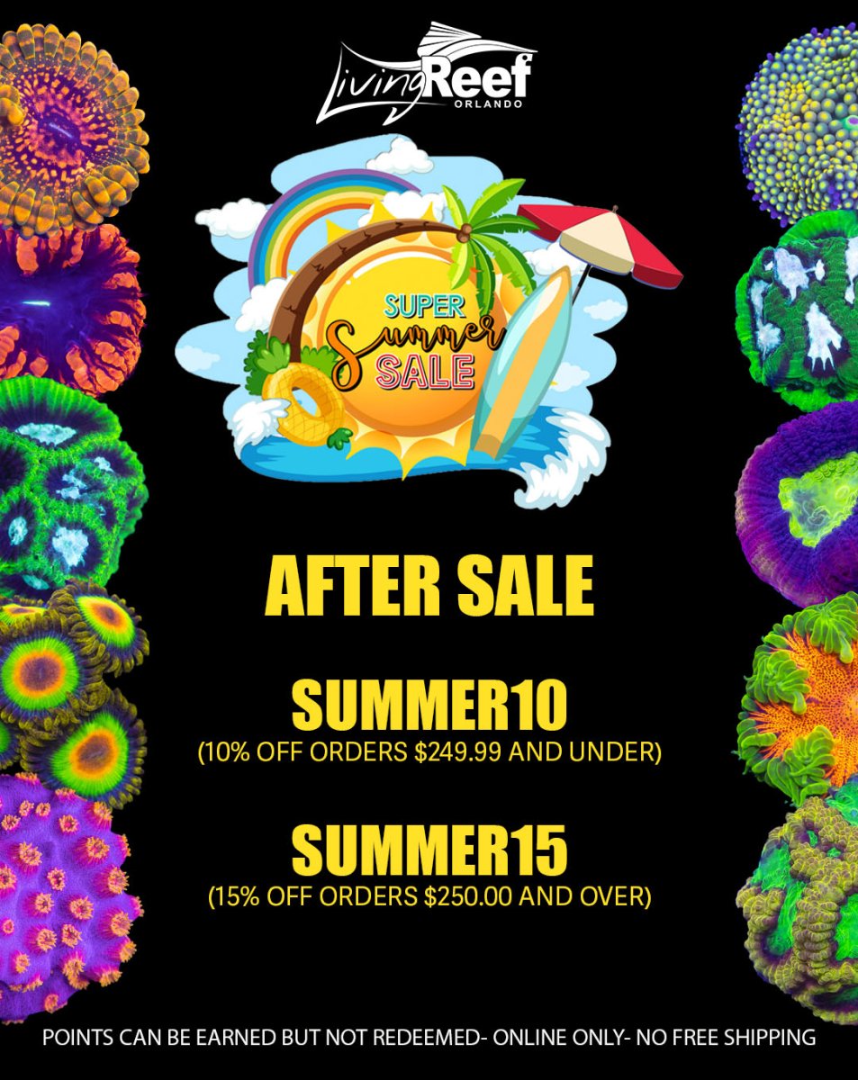 SUMMER SALE SOCIAL MEDIA copy.jpg