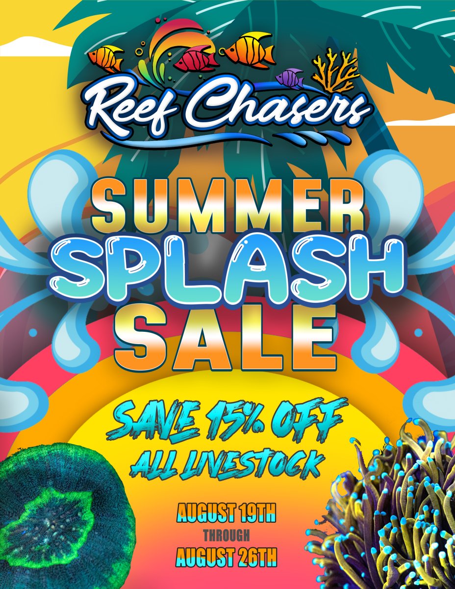 Summer Splash Sale.jpg