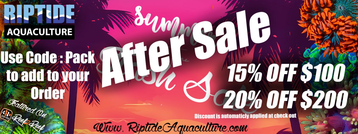 summer time flash sale 1600x600 After Sale copy.jpg