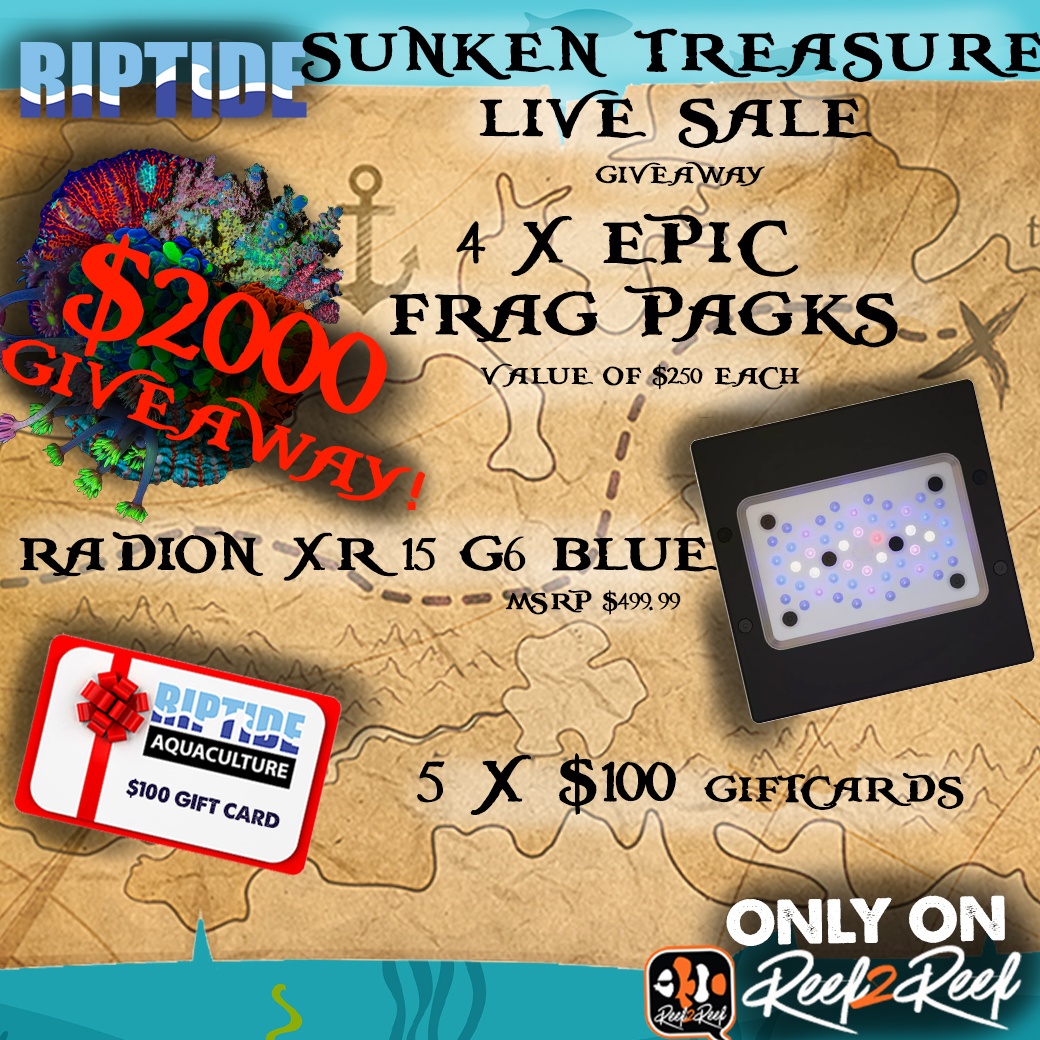 sunkin treasure giveaway1.0.jpg