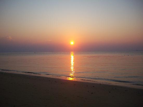 sunset-at-coral-reef.jpg