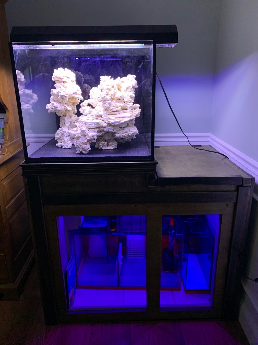 Tank Scape - FTS - 6.16.2020.jpg