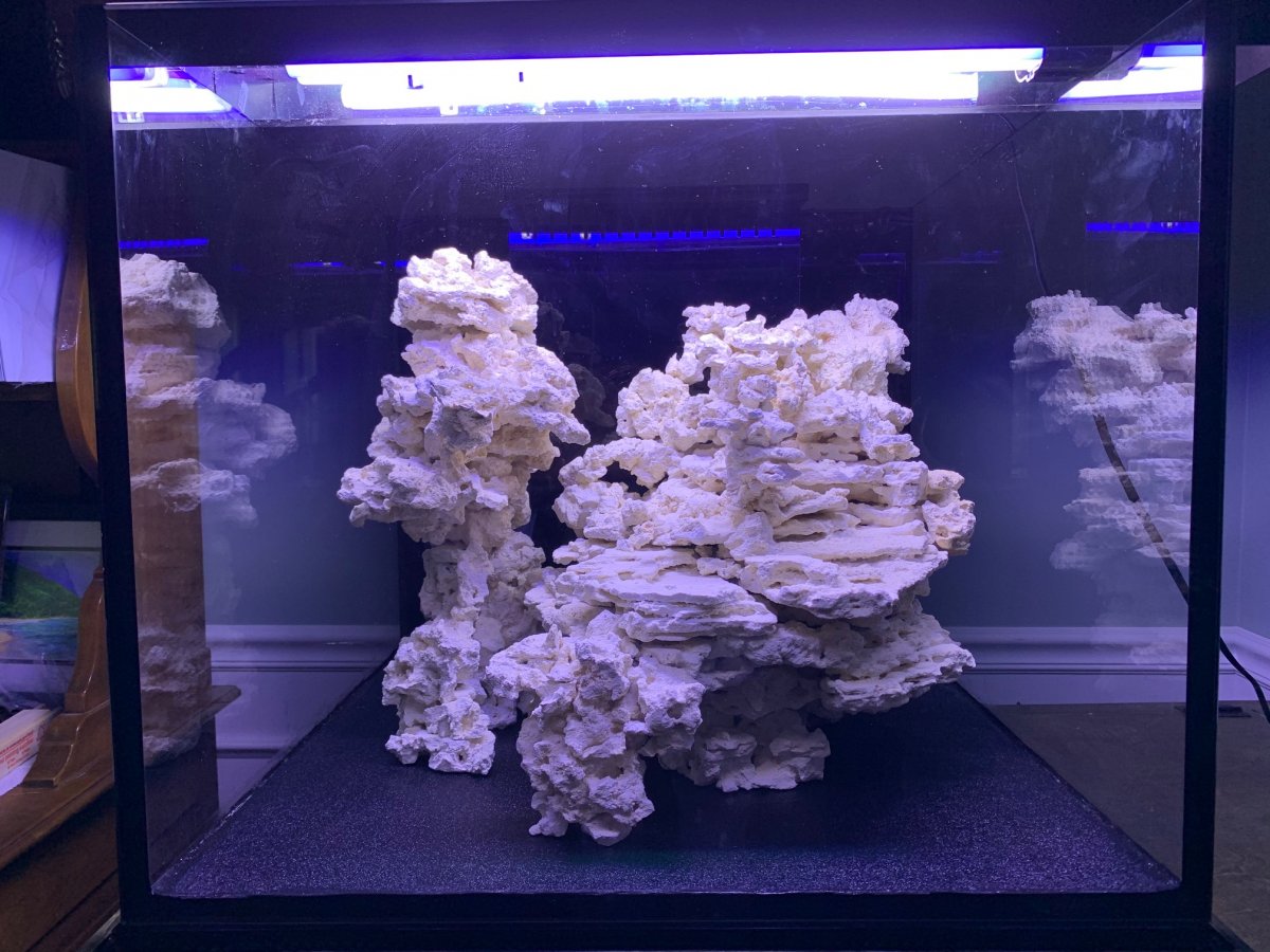 Tank Scape - FTS zoom - 6.16.2020.jpg