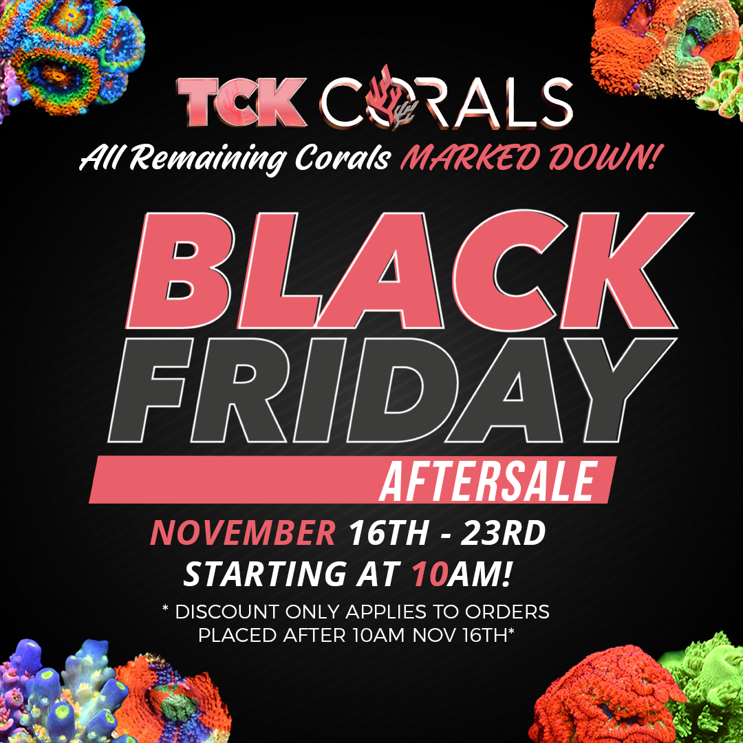 TCK BLACK FRIDAY  1080 X 1080.png