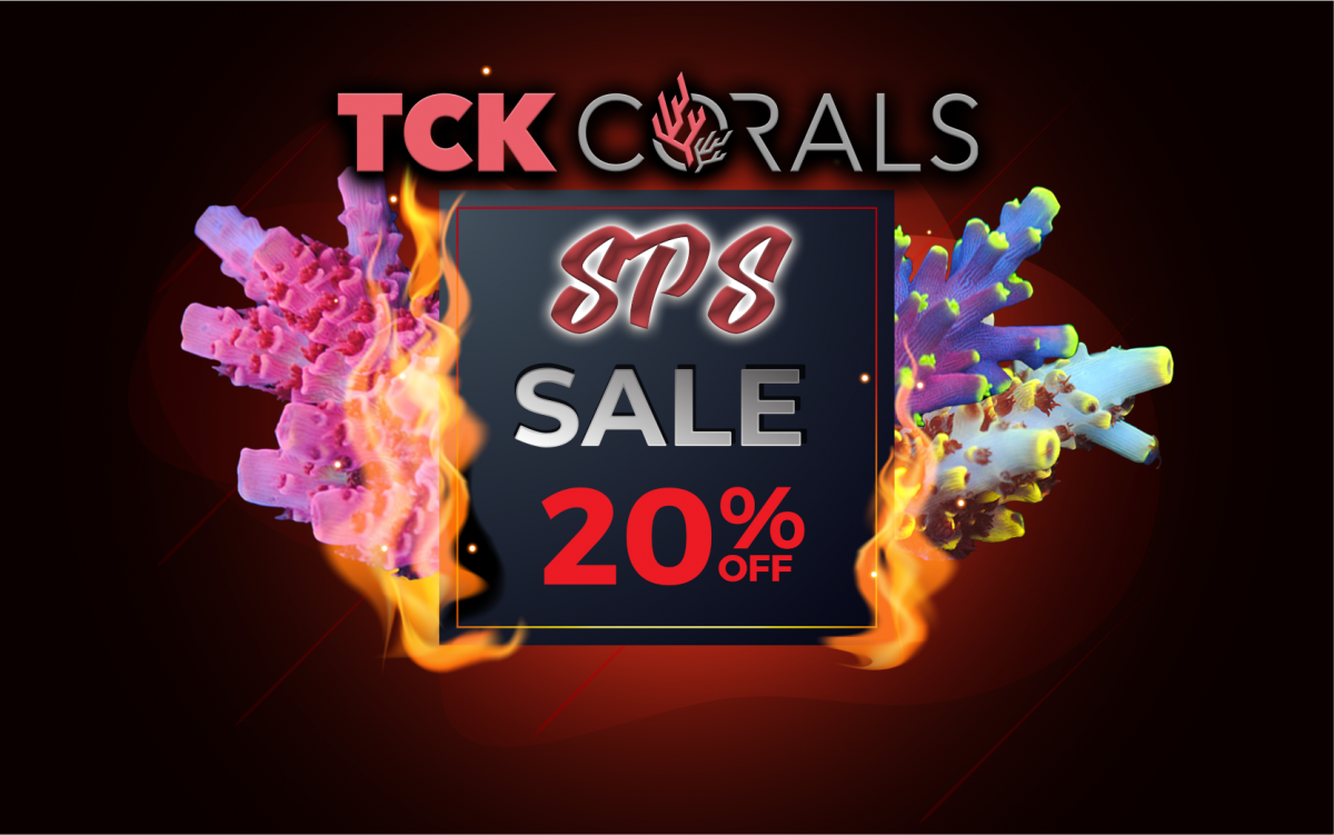 Tck hot sale.png