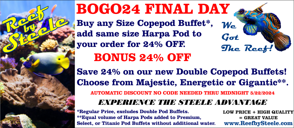 Thread Ad Bogo24 Final Day.png