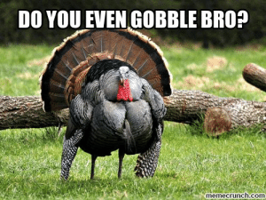 thumb_do-you-even-gobble-bro-memecrunch-com-gobble-til-you-wobble-53864630.png