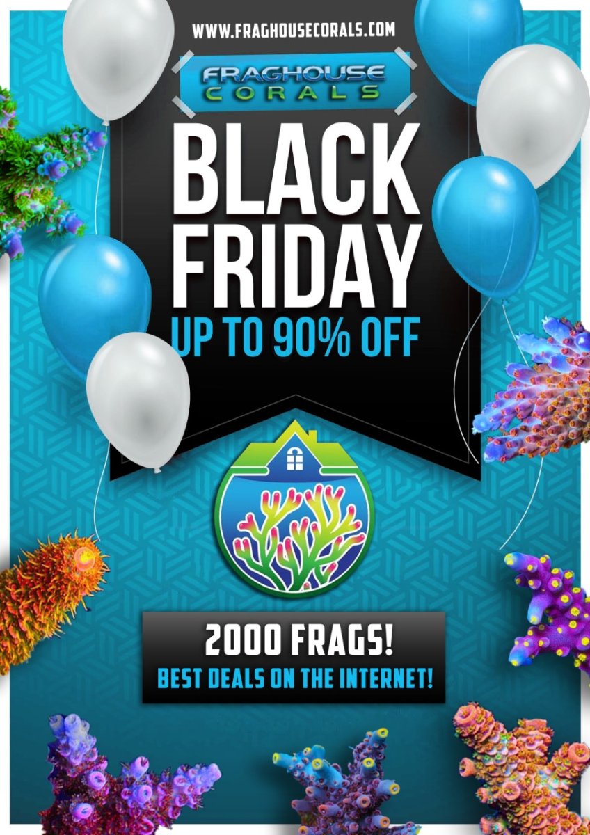 thumbnail_brandonsblackfridaysaleflyer.jpg