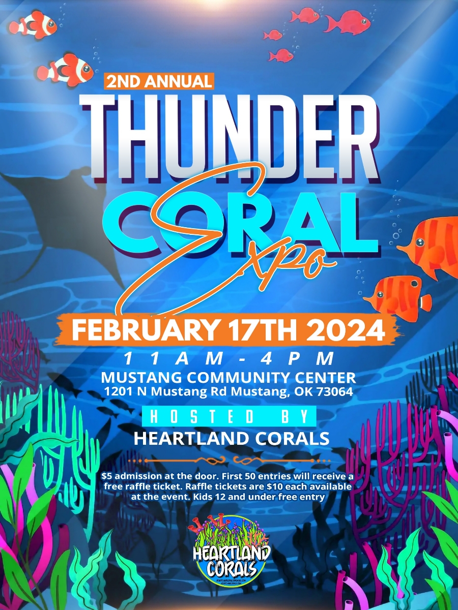 thundercoral.jpeg