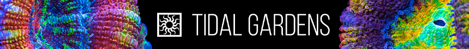 TidalGardensBanner3.jpeg