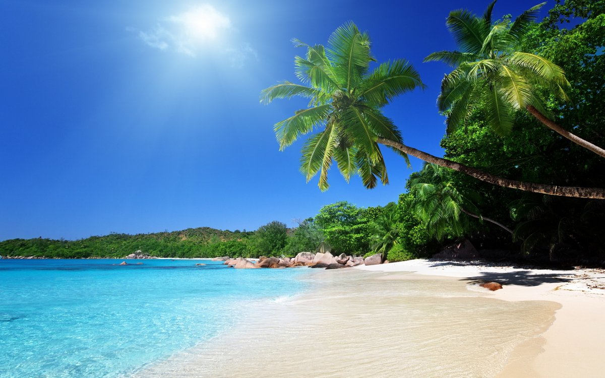 tropical-caribbean-beach.jpg