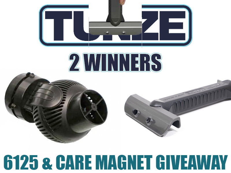 tunze 2giveaway copy.jpg