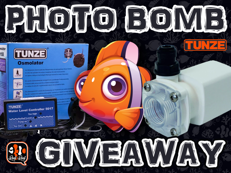 tunzegiveaway15 copy.jpg