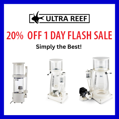 ultrareef-1-day-flash-sale.jpg