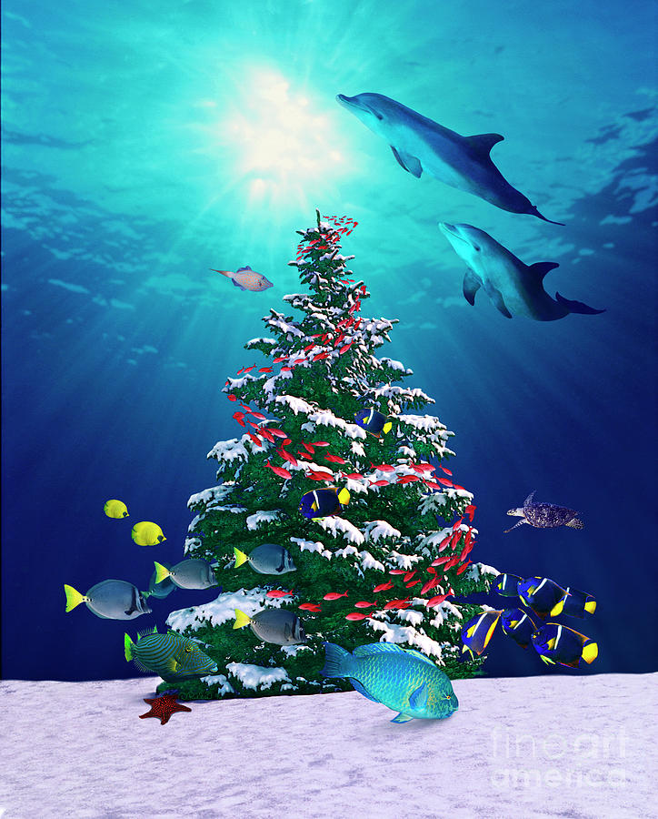 underwater-christmas-tree-david-rickerd.jpg