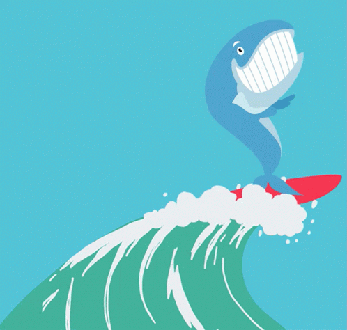 unusual-whales-unusual-whales-surf.gif