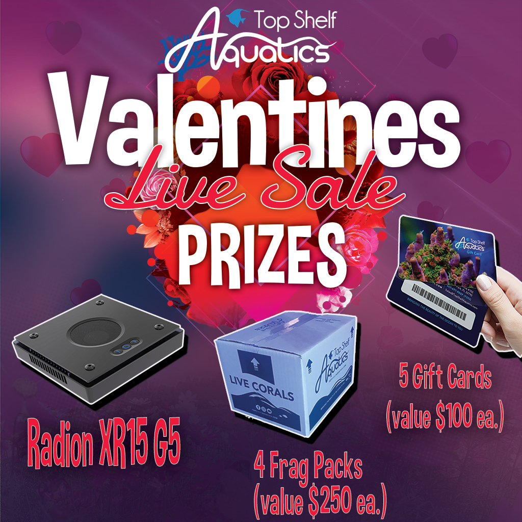 Valentinelivesale_Prizes_1024x1024.jpg