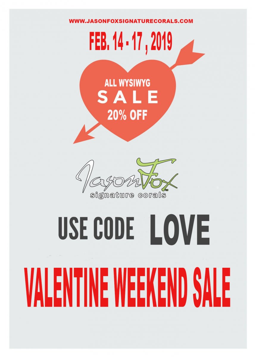 vdaysale.jpg