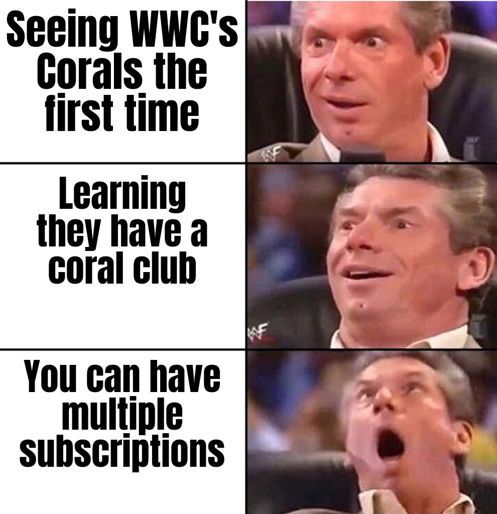 Vince McMahon Reaction 27022022162849.jpg