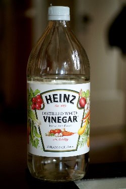 vinegar.jpg