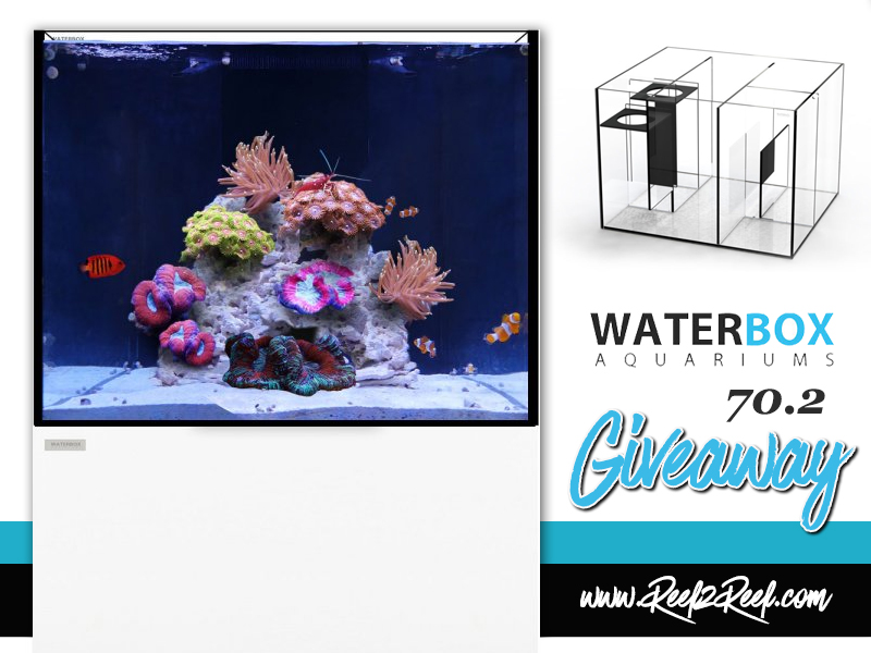 waterbox giveaway2.jpg