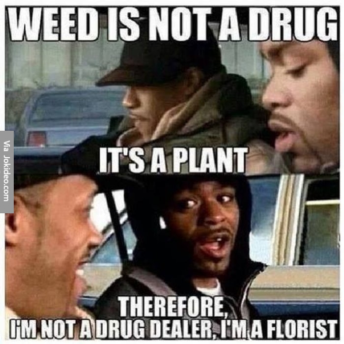 Weed-is-not-a-drug-meme.jpg