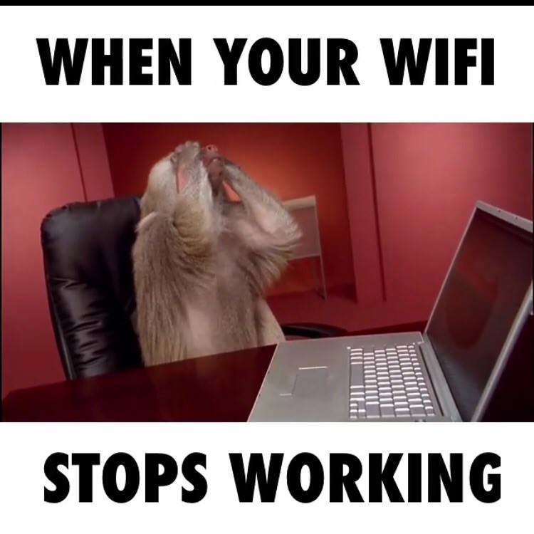 wifi.jpg