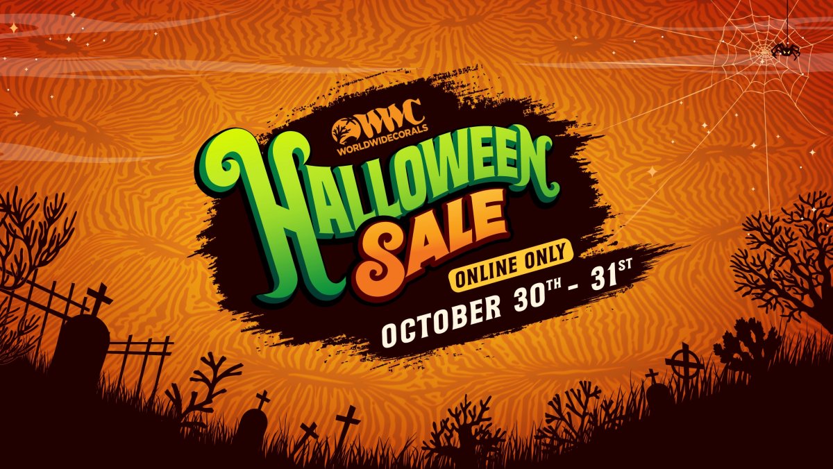 WWC_Halloween_Online_Sale-02.jpg