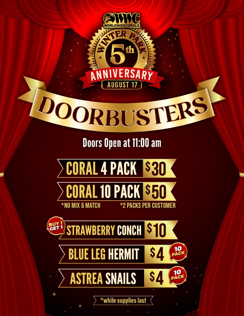 WWC_WP_5th_Anniversary_Sale-DOORBUSTERS.jpg