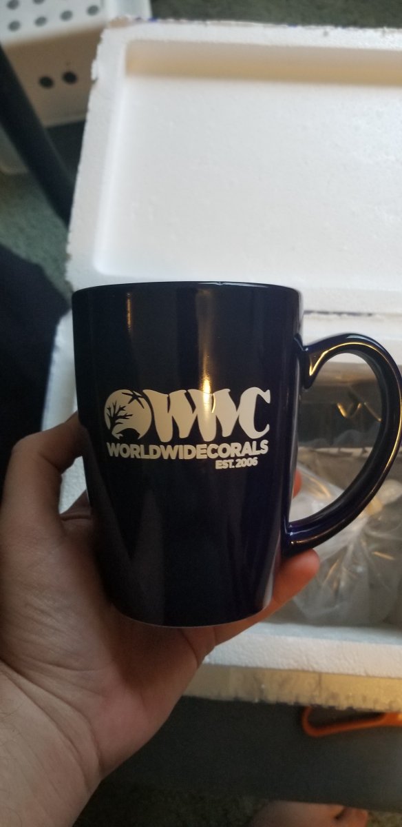 WWCGCmug.jpg