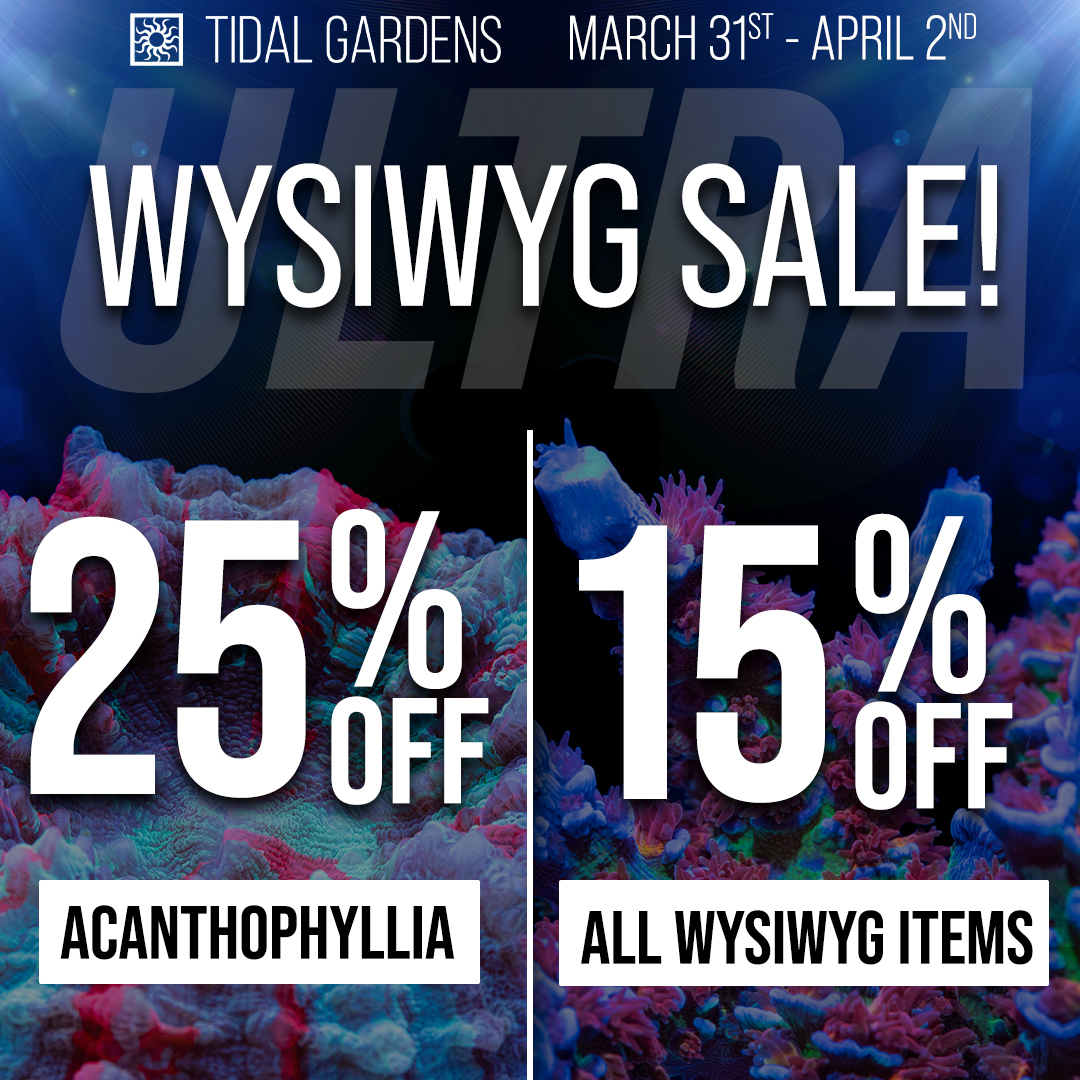 wysiwyg-mar23-sale-mobile.jpg